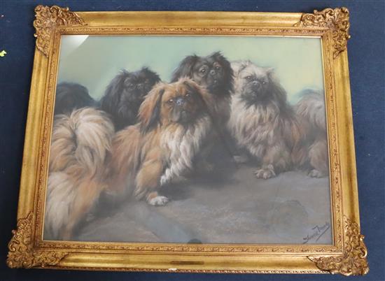 Fannie Moody (1861-1948) The Family; four Pekinese dogs 24 x 31in.